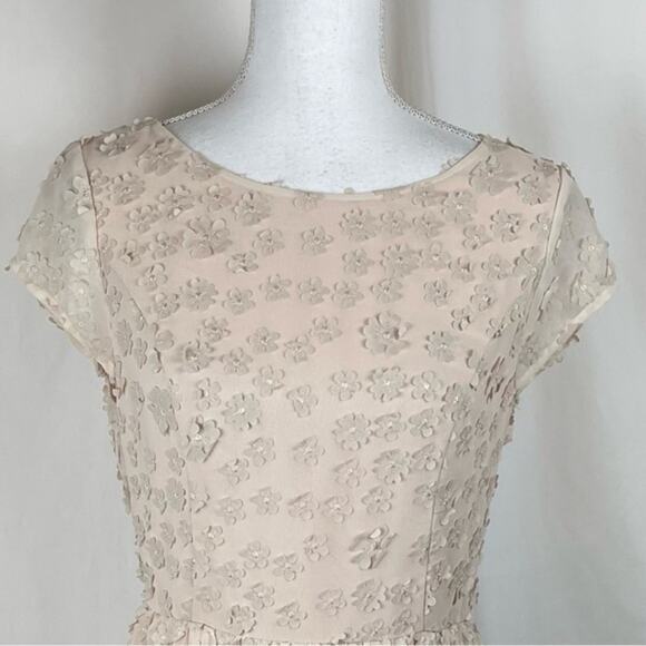 Lace & Mesh Sheer Blush‎ Embroidered Floral Boho Cottage Dress  NWOT Size M - Picture 3 of 13